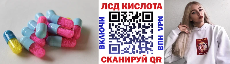 как найти наркотики  Александров  LSD-25 экстази кислота 