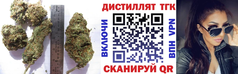Дистиллят ТГК Wax  Александров 