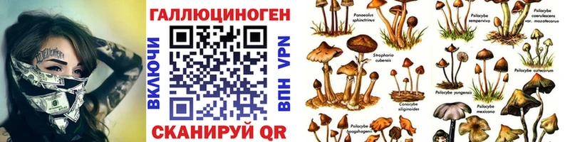Псилоцибиновые грибы Psilocybine cubensis  где продают наркотики  гидра зеркало  Александров 