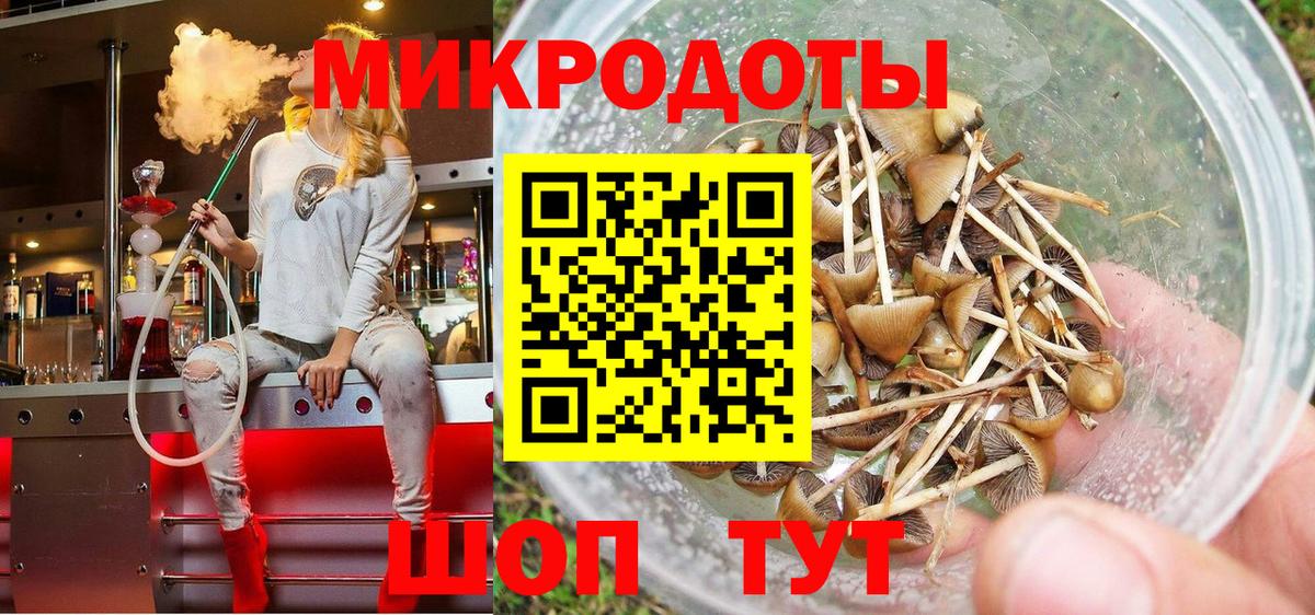 Галлюциногенные грибы Psilocybine cubensis  Вход с VPN  Александров  продажа наркотиков  Галлюциногенные грибы MAGIC MUSHROOMS 