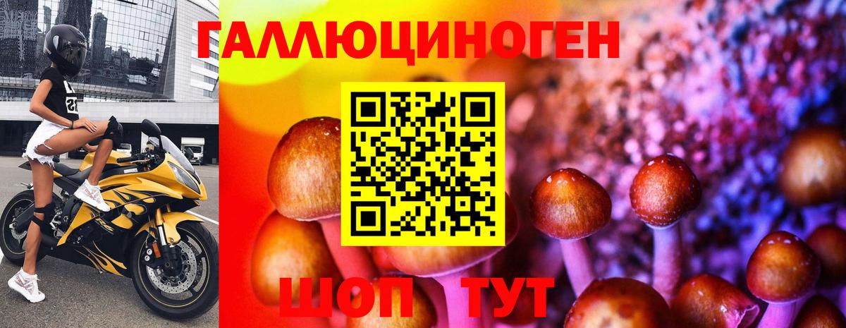 Александров  Галлюциногенные грибы прущие грибы  Вход с VPN 