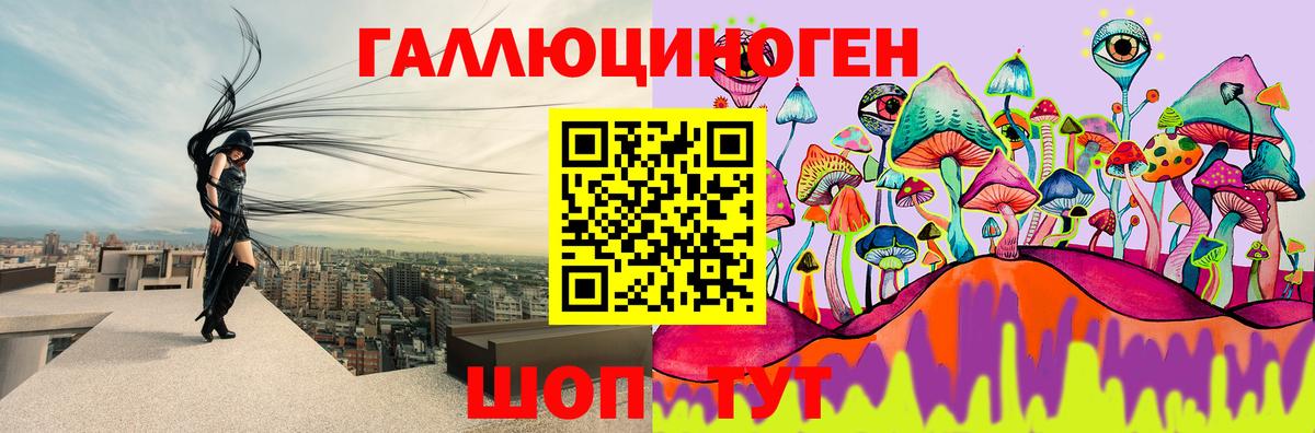 Псилоцибиновые грибы MAGIC MUSHROOMS  Александров  Псилоцибиновые грибы GOLDEN TEACHER 