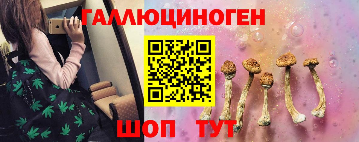 Галлюциногенные грибы мицелий Александров