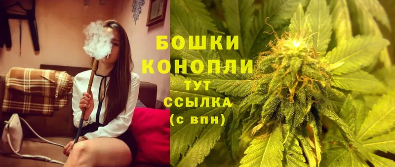 МАРИХУАНА OG Kush  закладки  Александров 